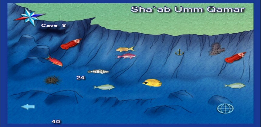 Dive Site Hurghada Umm Gamar