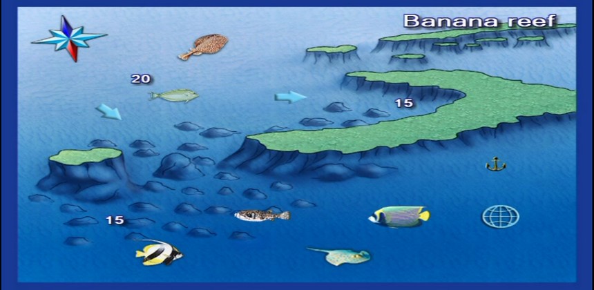 Banana Reef Dive Site Hurghada