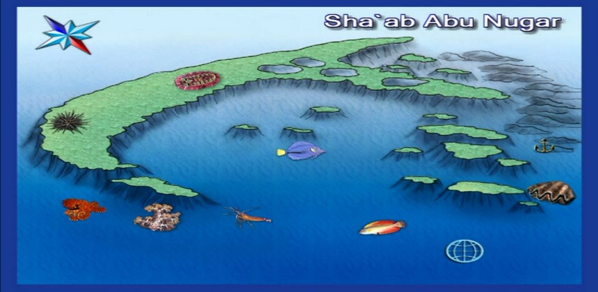 Shaab Abu Nugar Dive Site Hurghada