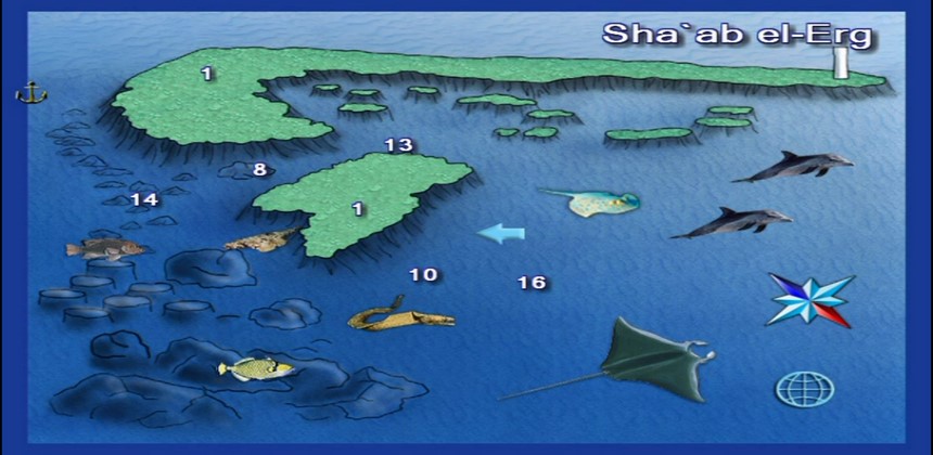 Shaab El Erg Dive Site Hurghada