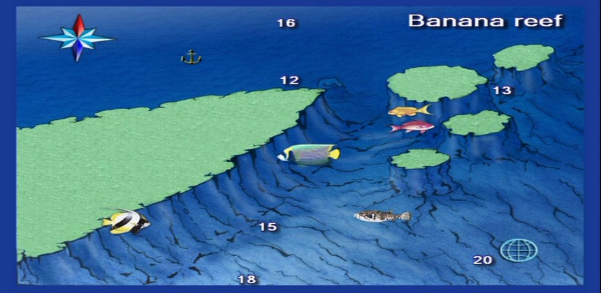 Banana Reef Diving Hurghada