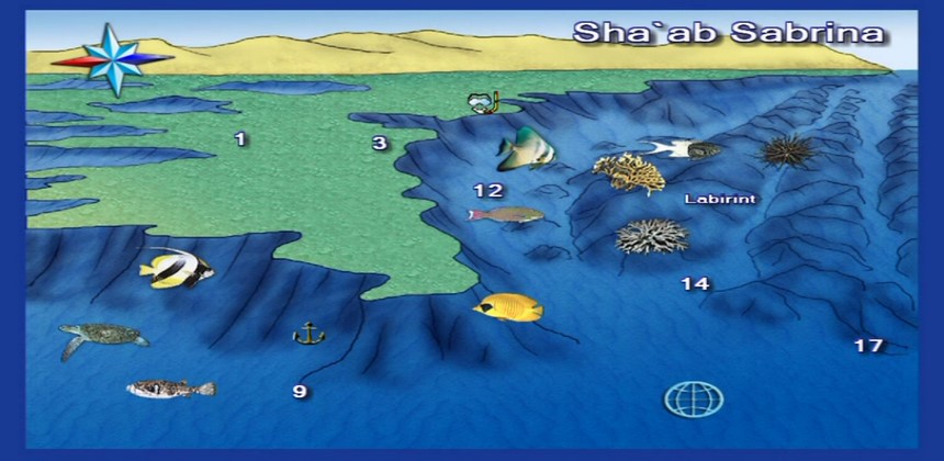 Shaab Sabina Dive Site Hurghada