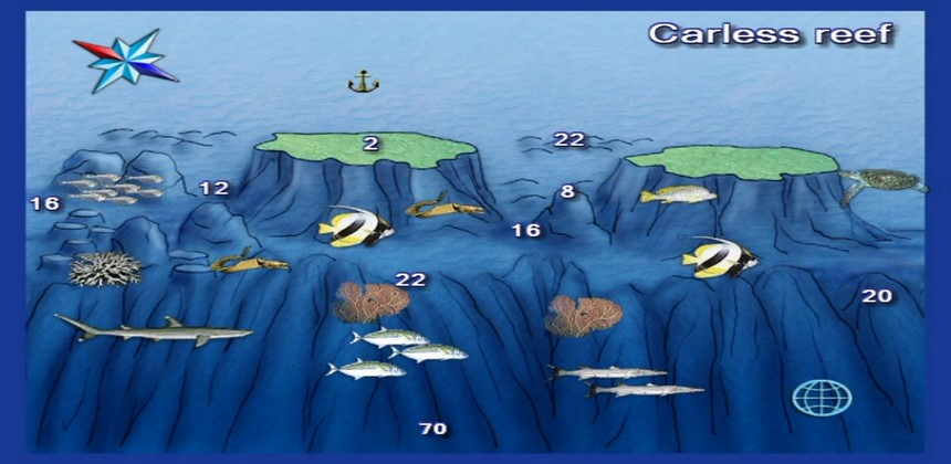 Dive Site Carless Reef Hurgada