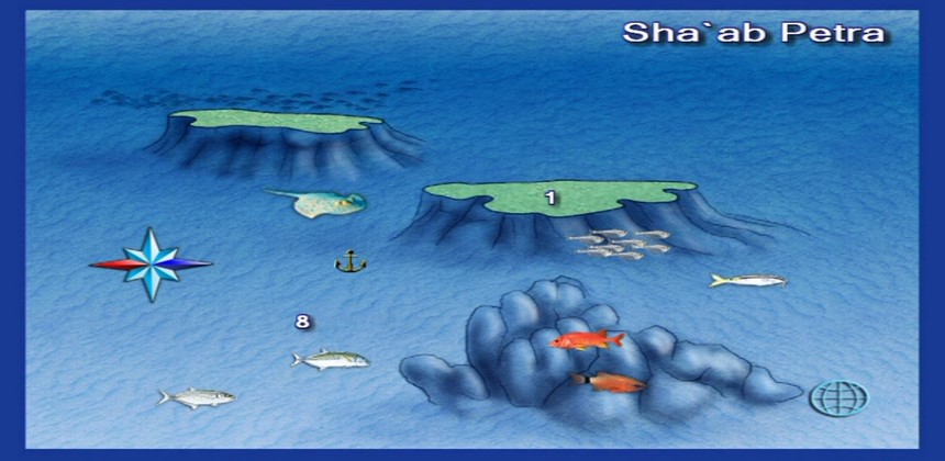 Shaab Petra Dive Site Hurghada