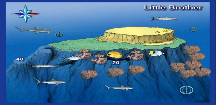 Brothers Islands Dive Sites Hurghada