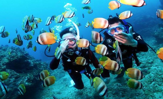 Aware – Fish Identification