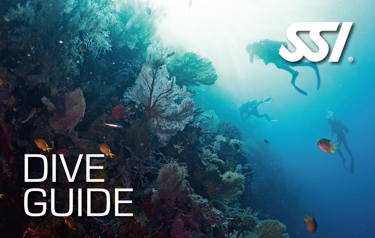 SSI Dive Guide | Egypt Divers