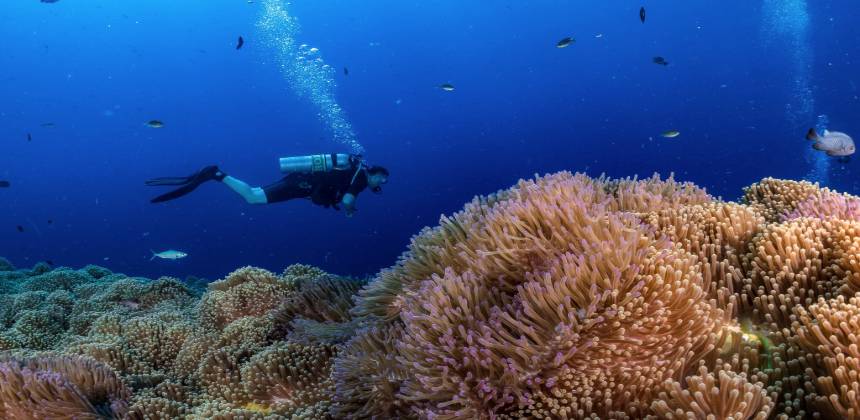 SSI Master Diver | Egypt Divers