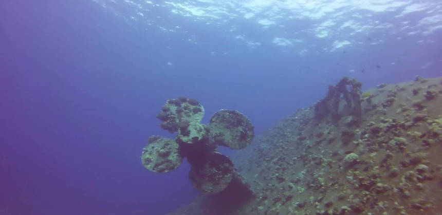 Salem Express Wreck Safaga Red Sea Egypt | Egypt Divers Diving Center