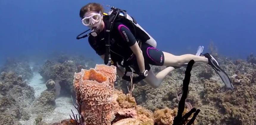 check Dive