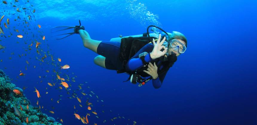 Program Check Dive