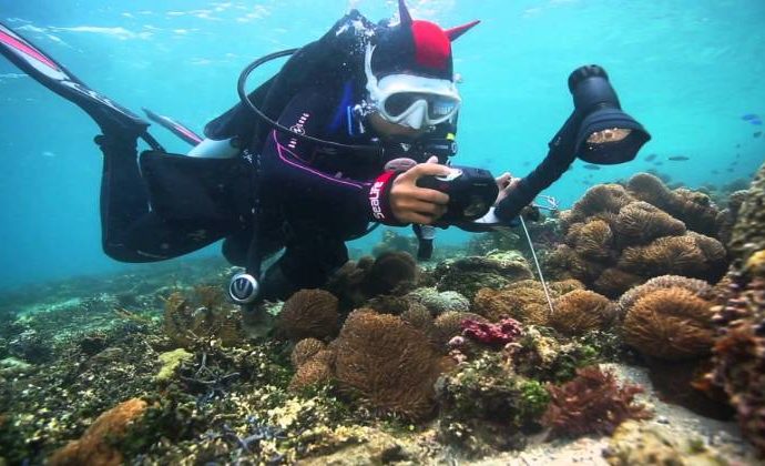 Underwater Videographer