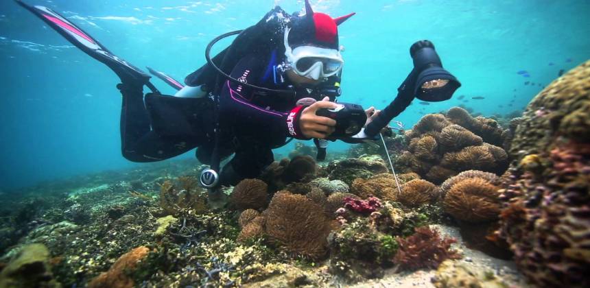 Underwater Videographer Course Hurghada | Egypt Divers