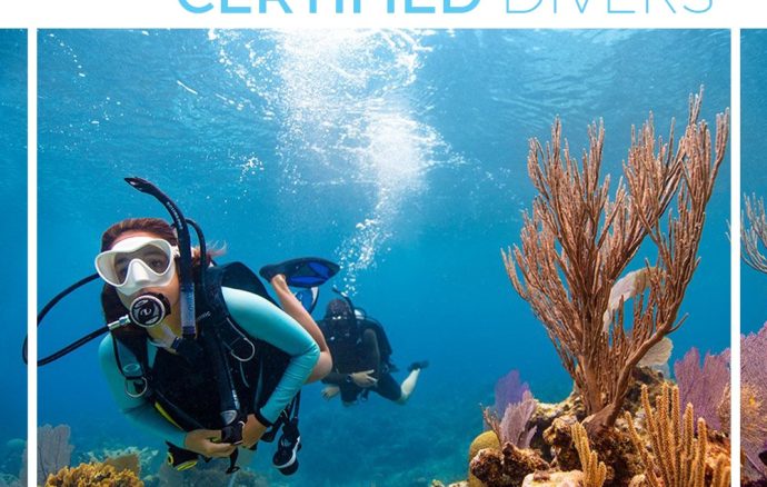 Пакеты для дайвинга (Сертифицированные дайверы)